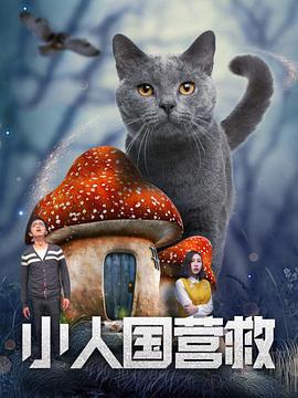 清水理纱在线